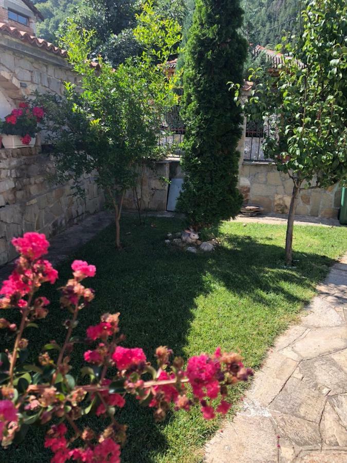 Ambrozia Spa And Relax Family House บาคโคโว ภายนอก รูปภาพ